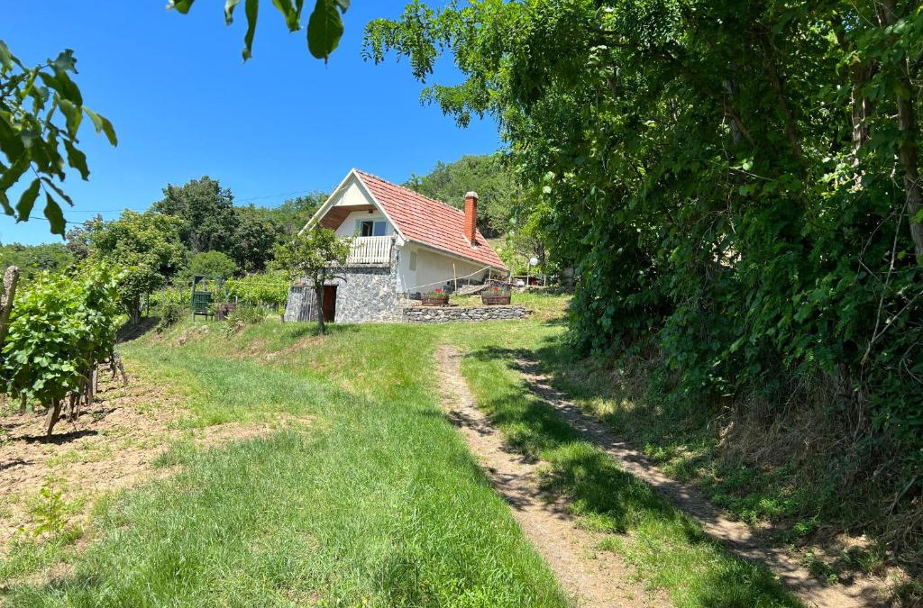Kaptalantoti Apartment | Vine Cottage