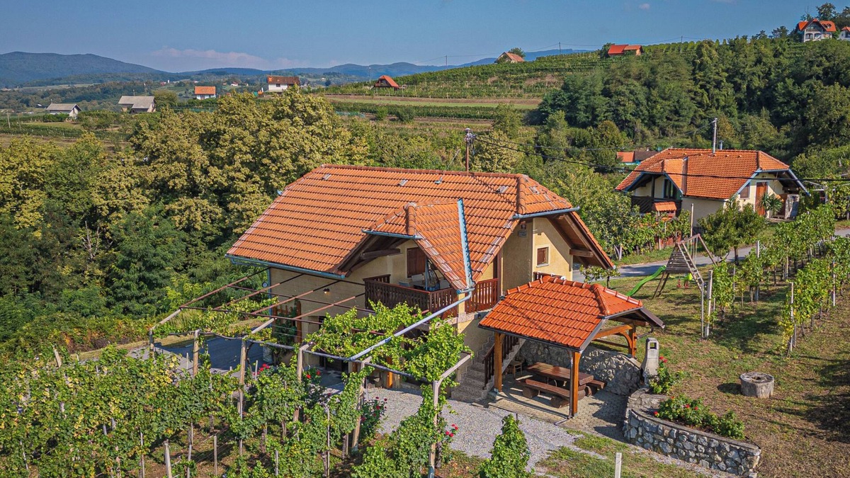 Drasici Ski Chalet | Vineyard Cottage Brodaric, Metlika, Slovenia