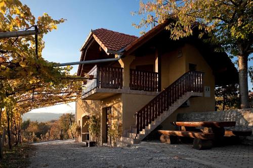 Drasici House | Vineyard Cottage Brodaric