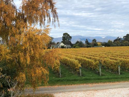Renwick Cabin | Vineyard Cottage in Blenheim on the Golden Mile