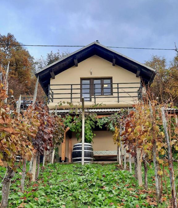 Dolenjske Toplice Apartment | Vineyard cottage Kulovec