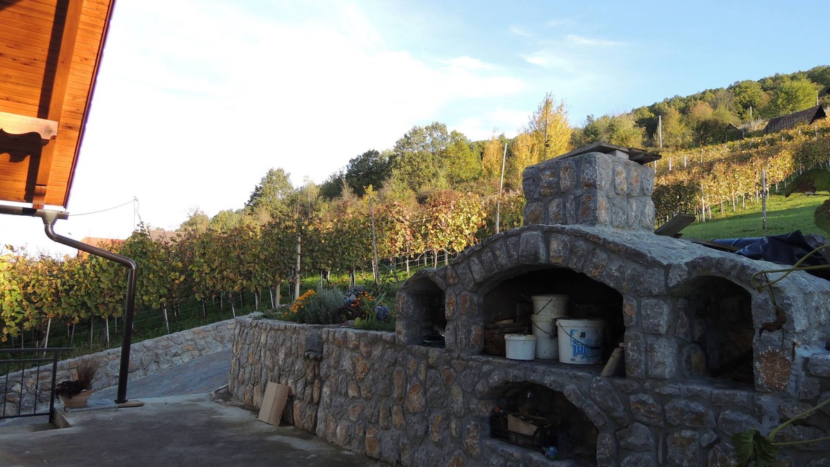 Trebnje House | Vineyard cottage Pod piramido