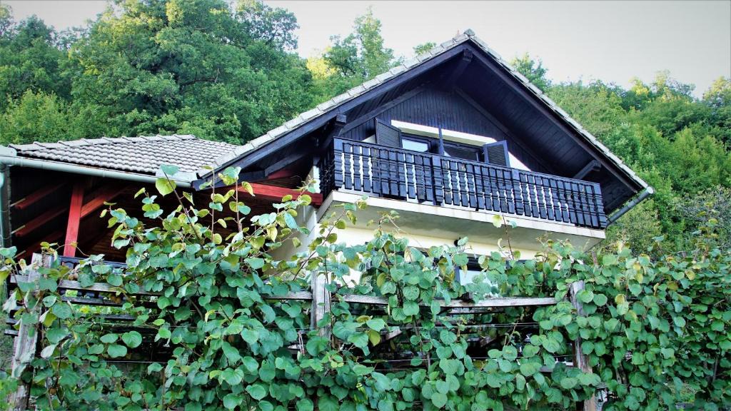 Semic House | Vineyard Cottage Zajc