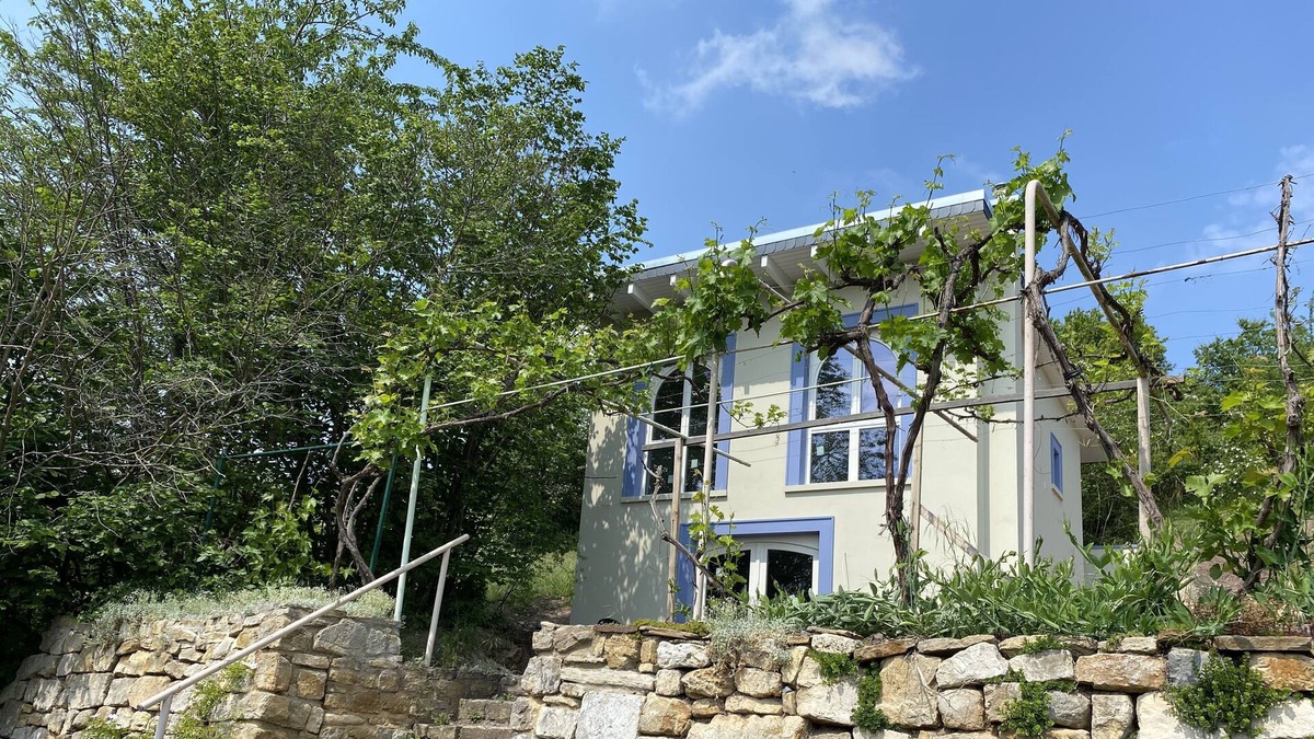 Salzatal House | Vineyard house with a view of the water