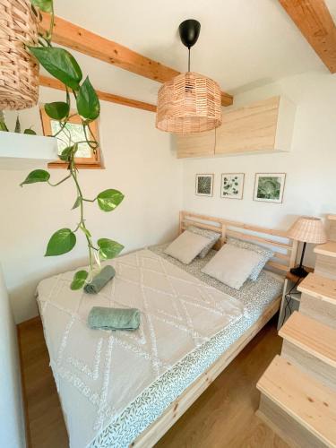 Metlika House | Vineyard escape Šuklje