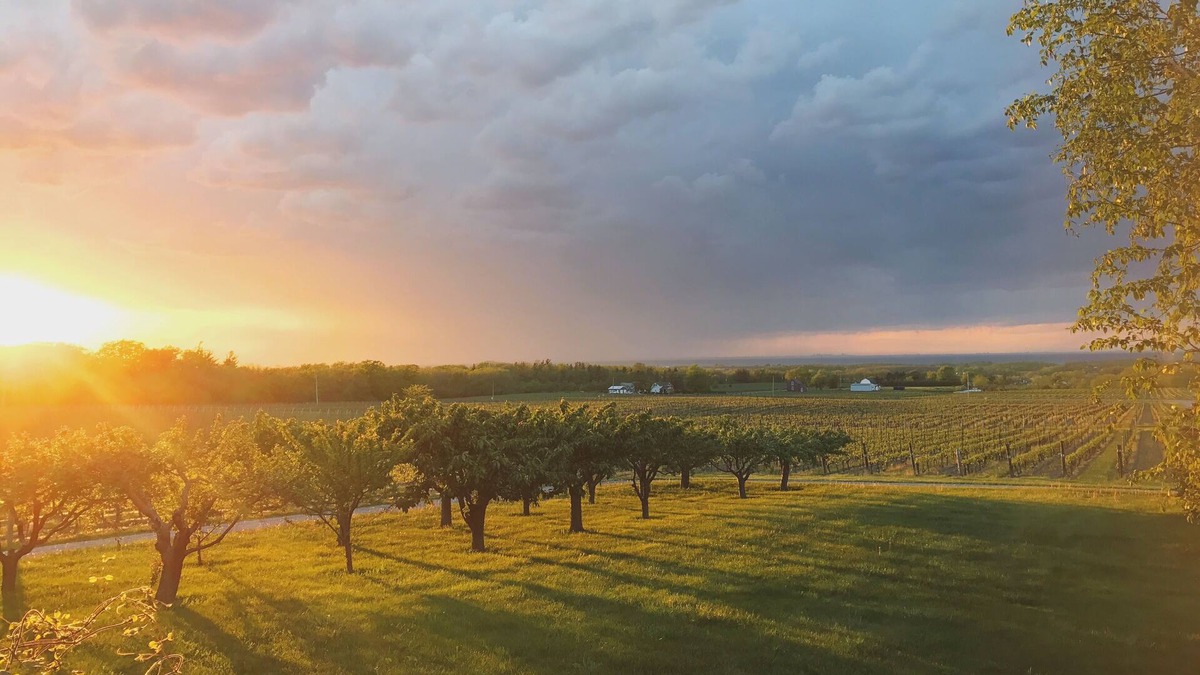 Beamsville House | Vineyard Estate House In Niagara
