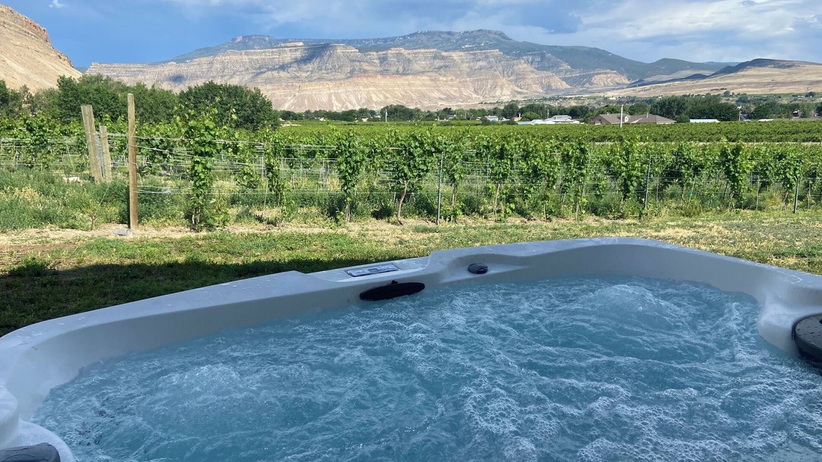 Palisade House | Vineyard Home close to town and Fruit and Wine Byway