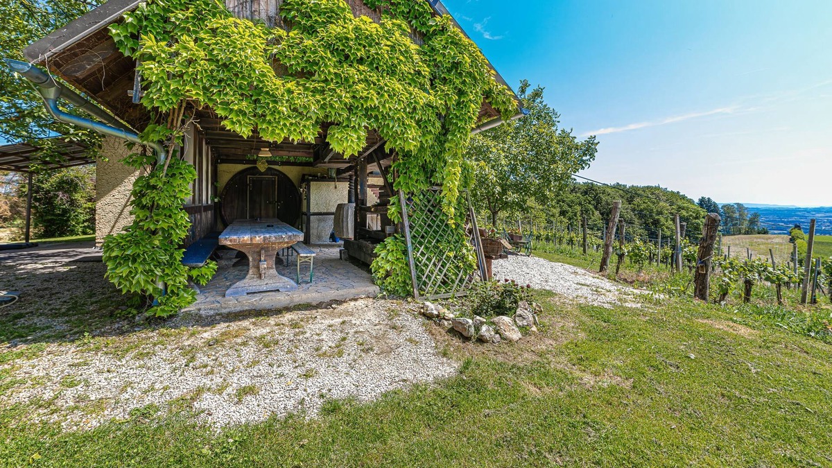 Brezice House | Vineyard Home Martin With Sauna, Bizeljsko, Slovenia