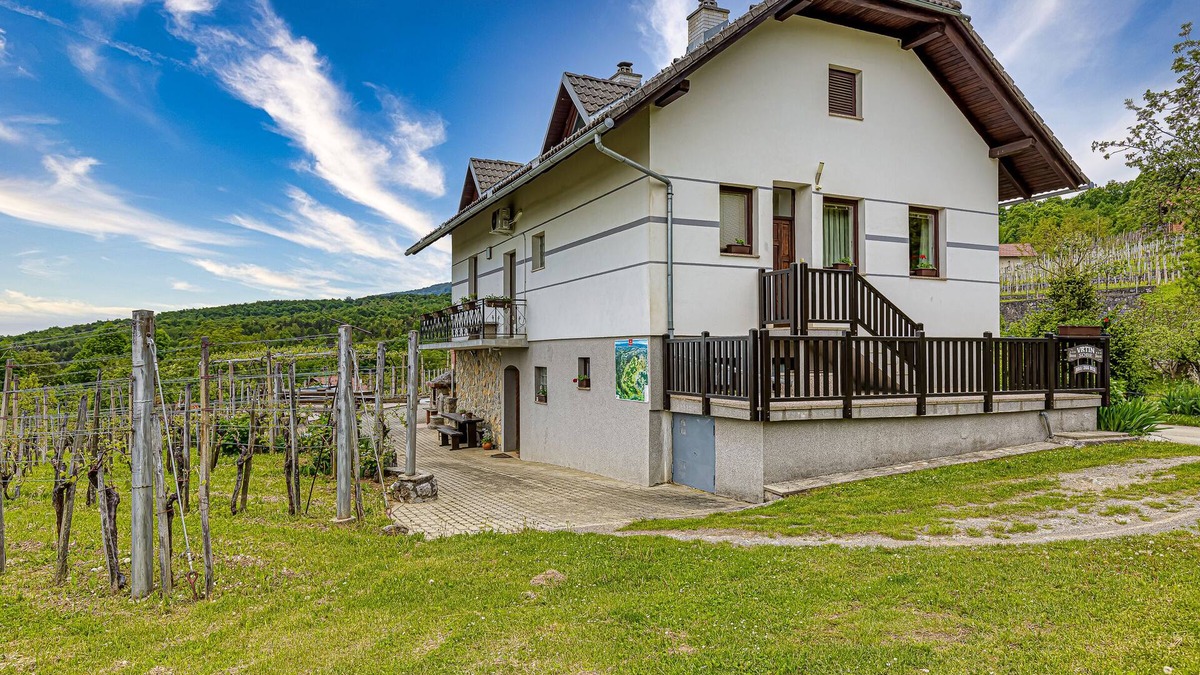 Crnomelj House | Vineyard Homestead Vrtin, Dragatuš, Slovenia