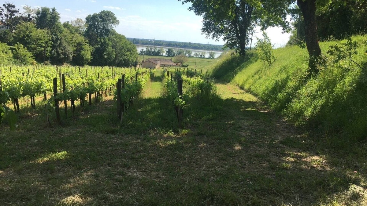 Bourg-sur-Gironde House | Vineyard house, on the estuary shore