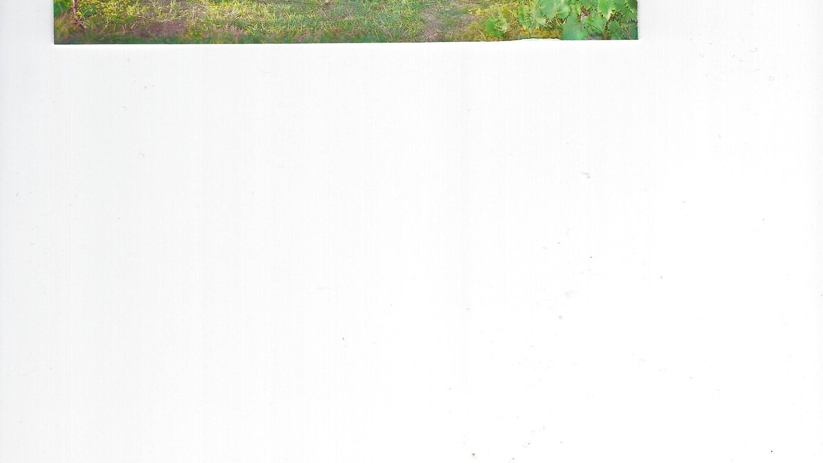 Murphy Cabin | Vineyard Mountain Cabin and Camper Rental. Inquire Club Membership.