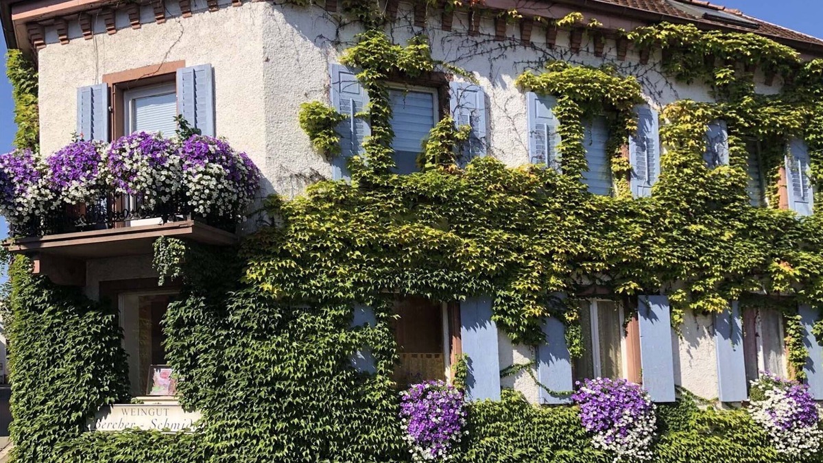 Oberrotweil Apartment | Vineyard Retreat, Oberrotweil