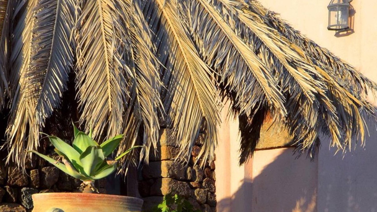 Pantelleria House | [Vineyard View + Garden + Barbecue] "Green Garden Dammuso"n