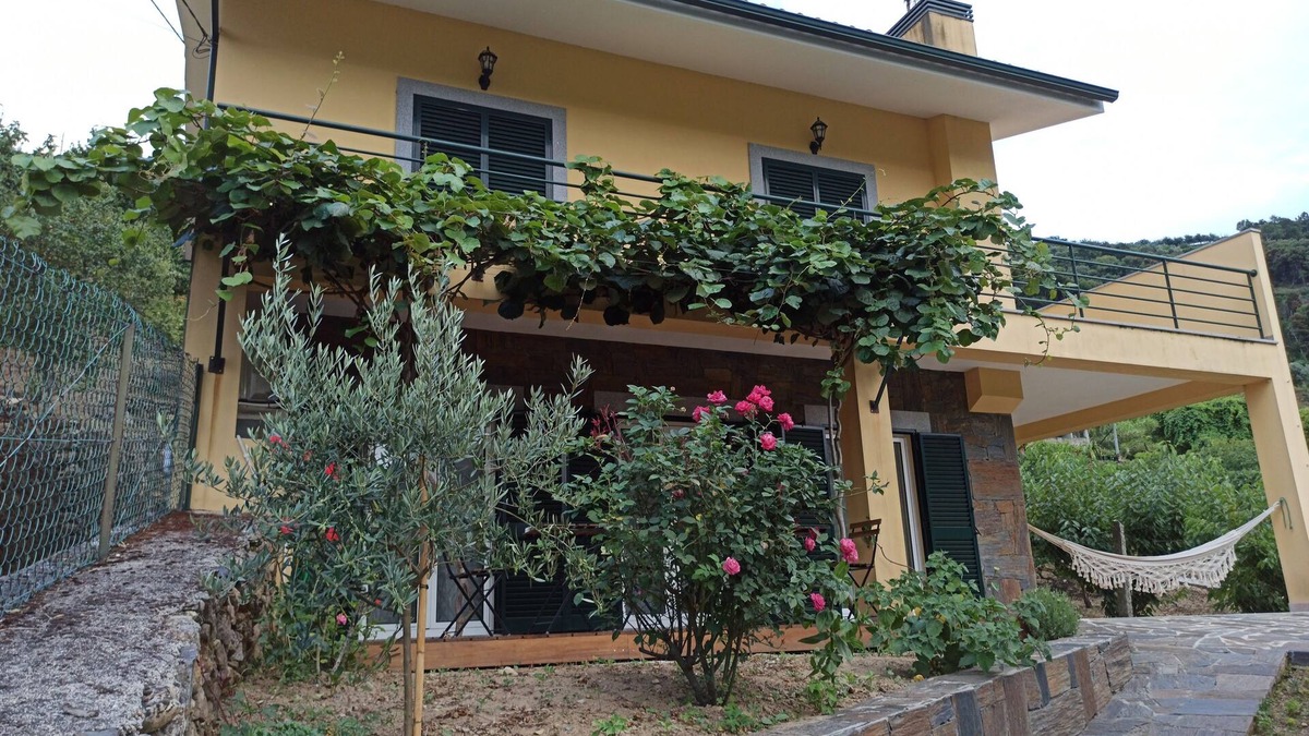 Barro House | Vineyards Valley House
