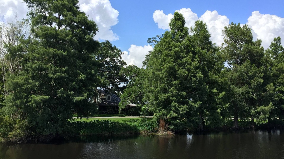 Houma House | Vintage Home and Spacious Grounds - "mini-fest" area - 3 night Min. -