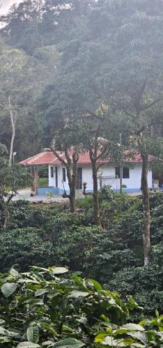 Virarajendrapet House | Vintara Homestay