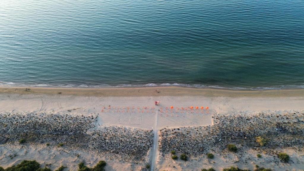 Foce Varano Resort | VIOLA Club Village & Camping