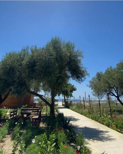 Qazim Pali Resort | Violet Village