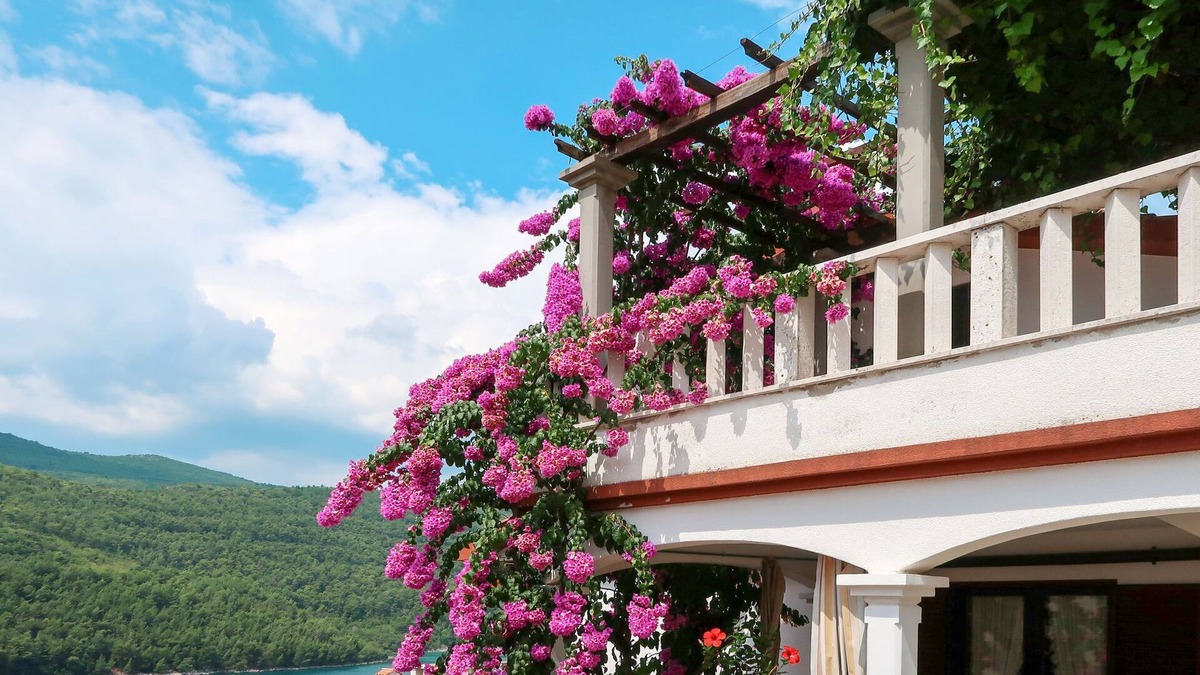 Duga Luka Apartment | Violetta by Interhome