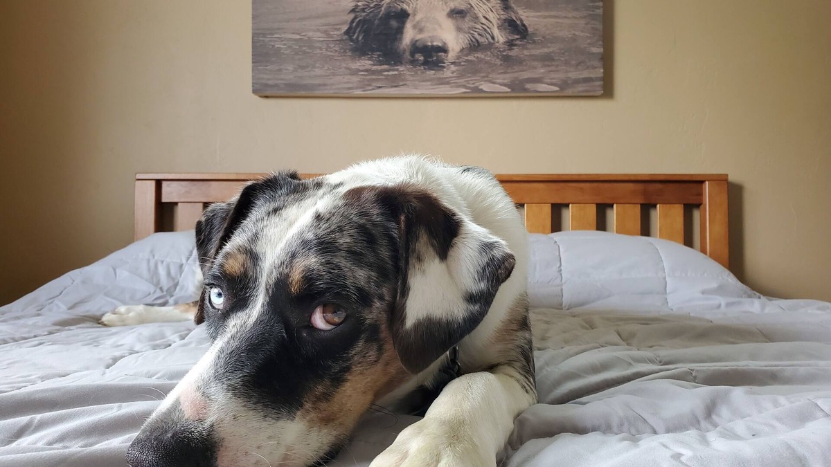Grand Junction House | Visit Tres Chivos Farmhousenwarm and cozy, Kids and pet friendly too!