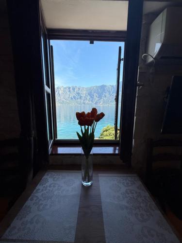 Prcanj Apartment | Vista Adriatica