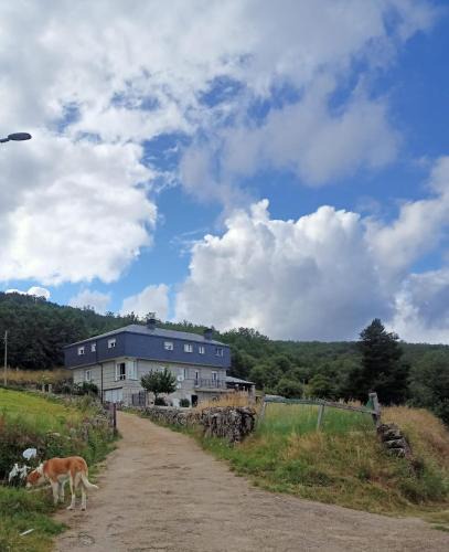 A Veiga House | Vista Estrelada