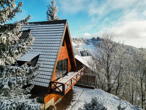 Lisina Ski Chalet | Vista Mountain House