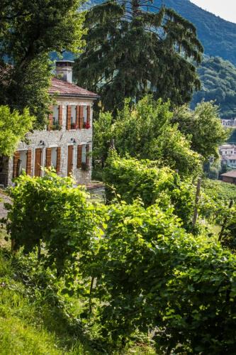 Valdobbiadene House | Vite in Rosa La Casetta