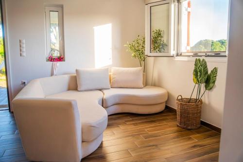 Arta House | Vitta's House