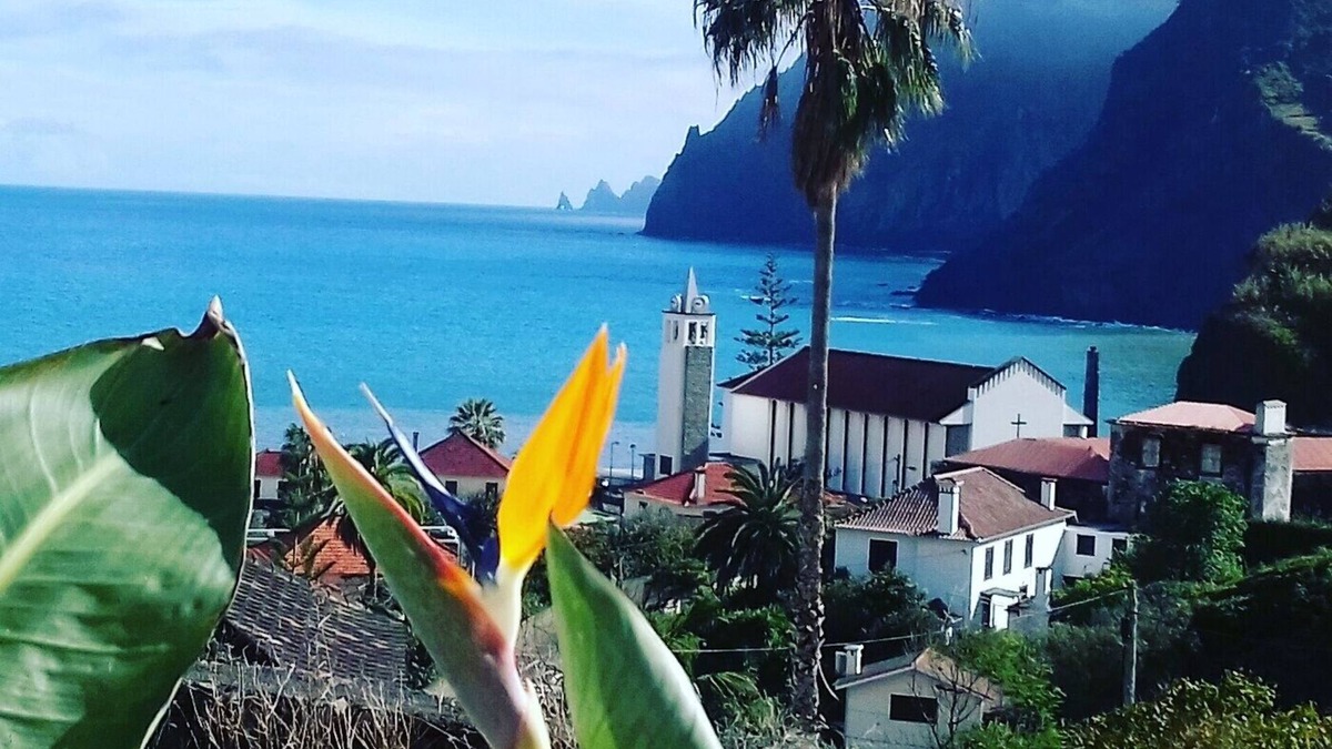 Porto da Cruz Apartment | Vivenda Linda Vista 1 Beautiful Sea and Mountain Views in Porto da Cruz