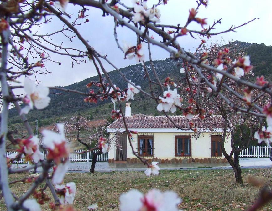 Huescar House | Vivienda Rural Embalse San Clemente