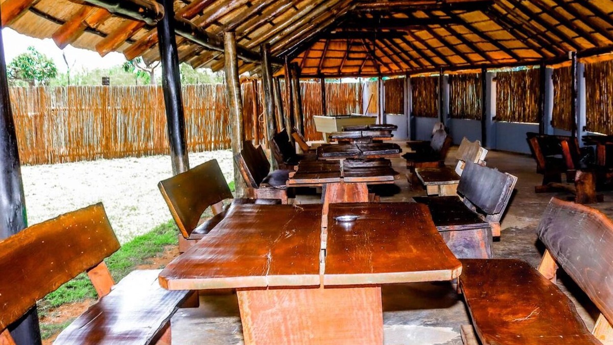 Vivo Cabin | VIVO LODGE