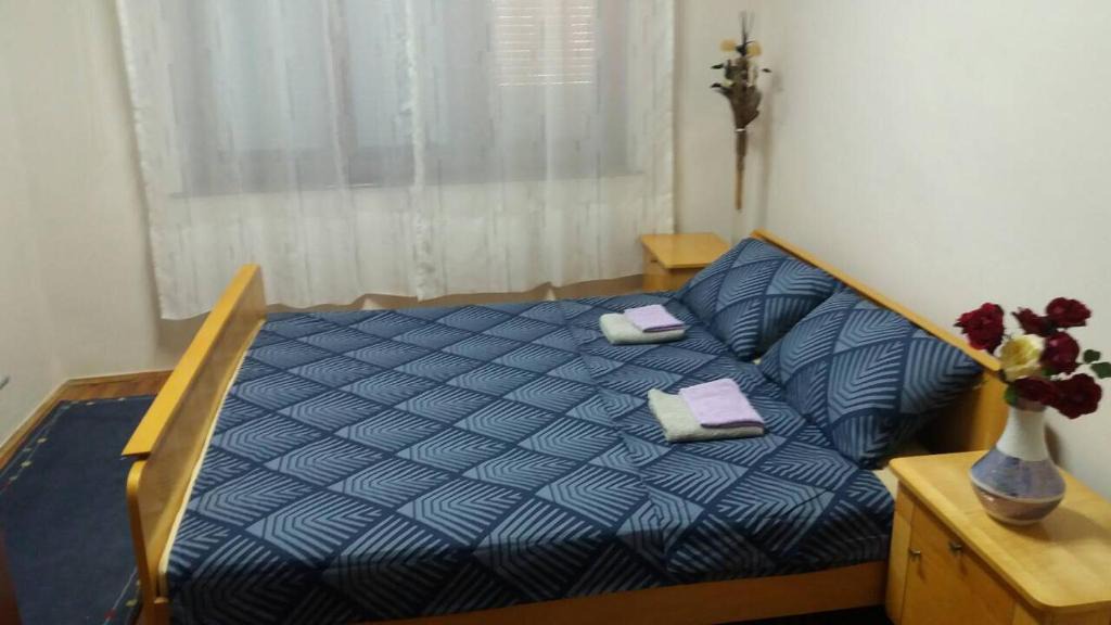 Vrsac House | Vladone