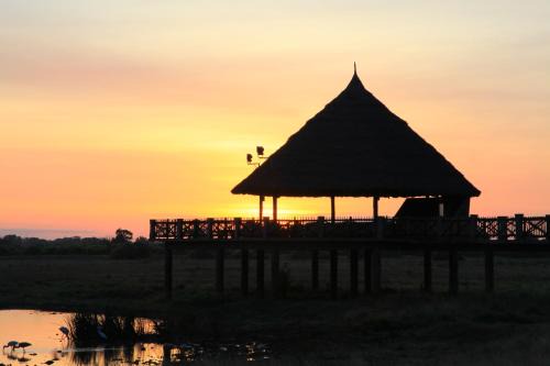Voi Cabin | Voi Wildlife Lodge