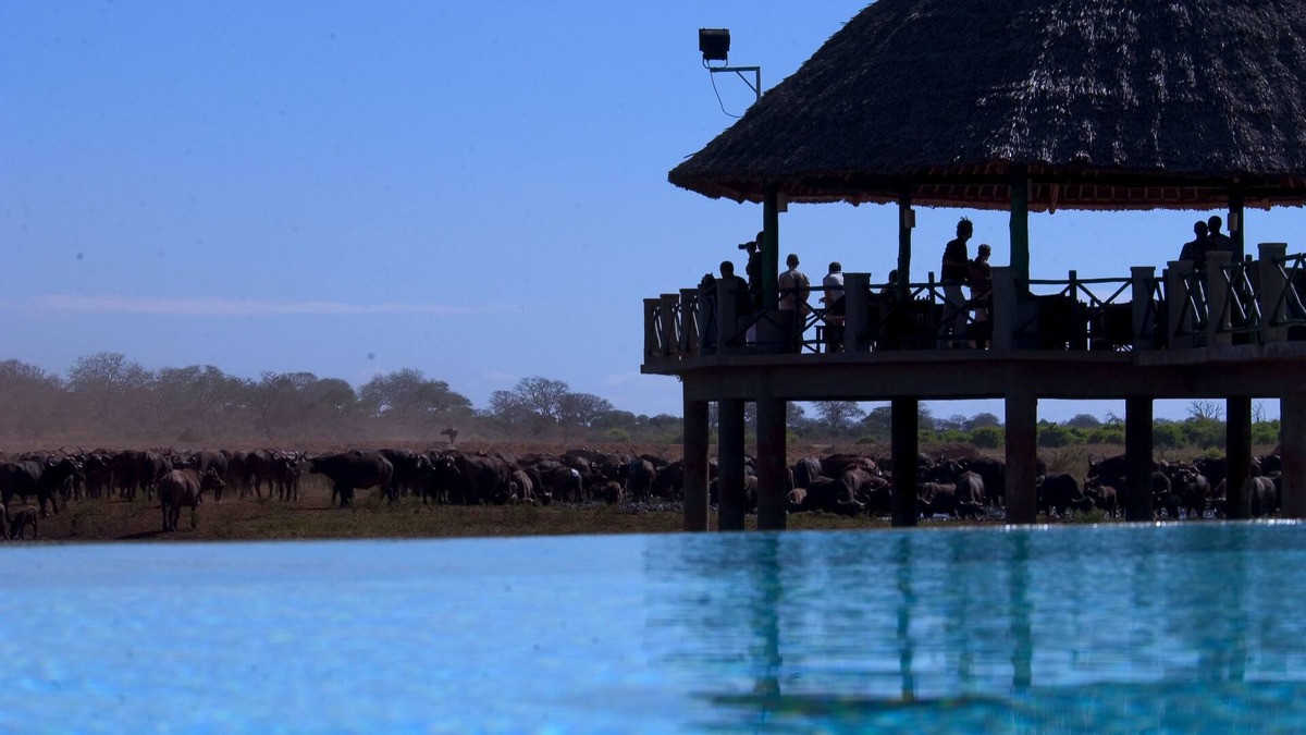 Voi Cabin | Voi Wildlife Lodge