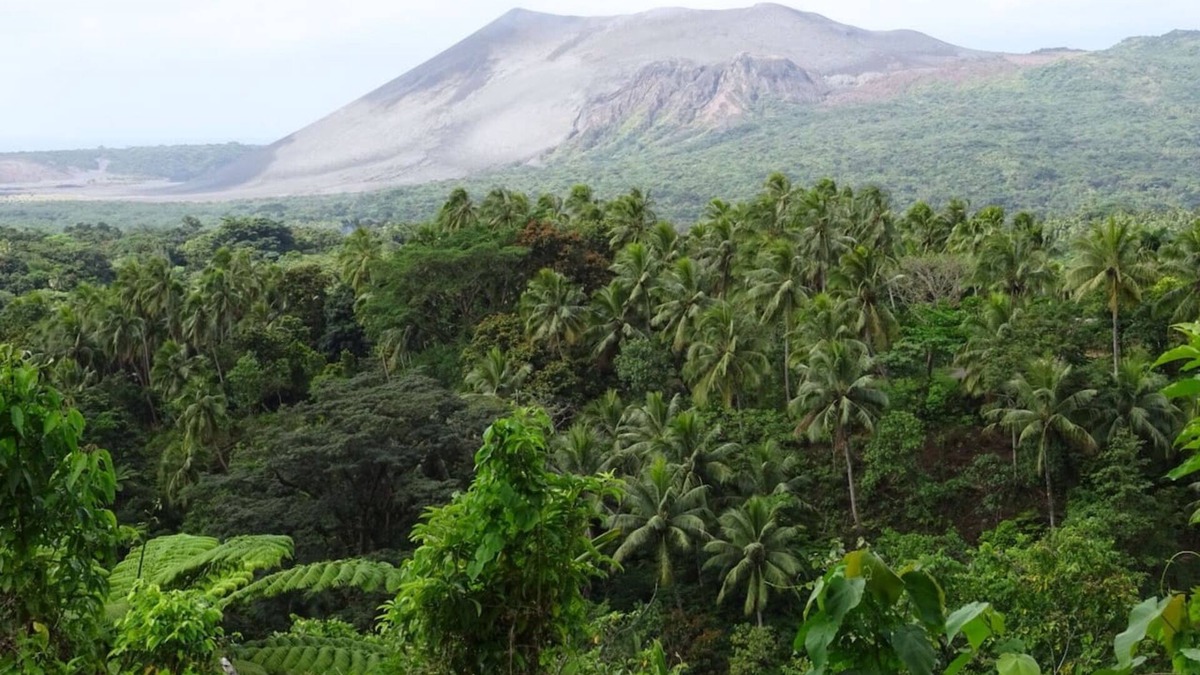 Tanna Island Hotel | Volcanic Village Vista