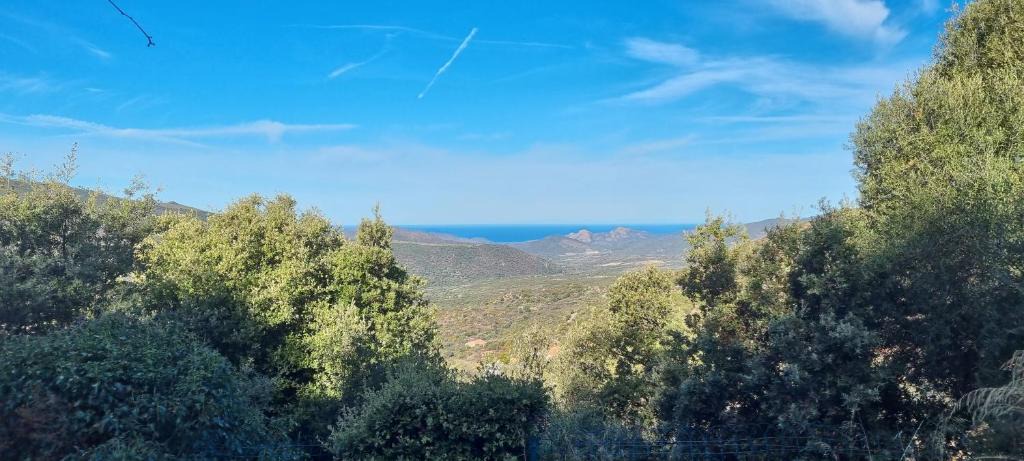 Lama House | Vos vacances à Lama France Corse