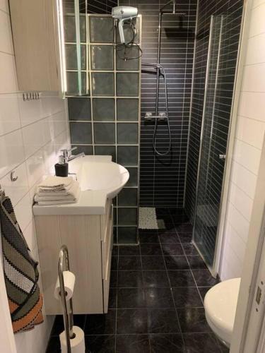 Voss Apartment | Voss Sentrum 400 m