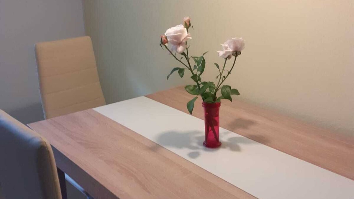 Gailingen Apartment | Vrbo Property