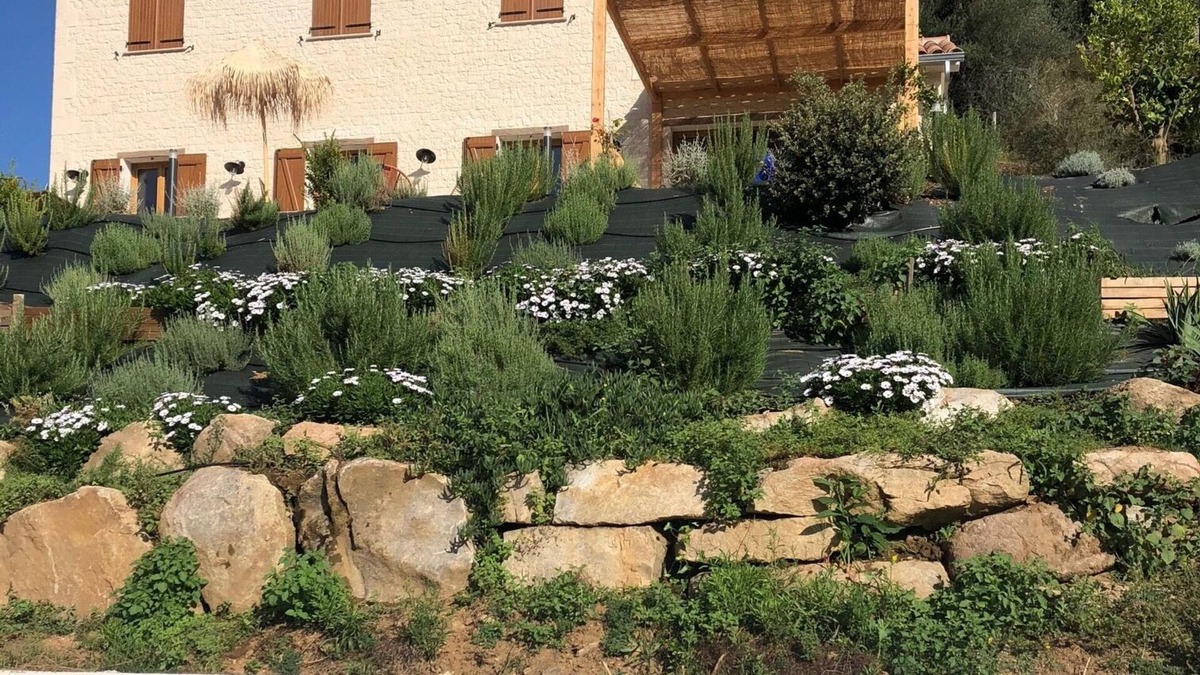 Arbori House | Vrbo Property