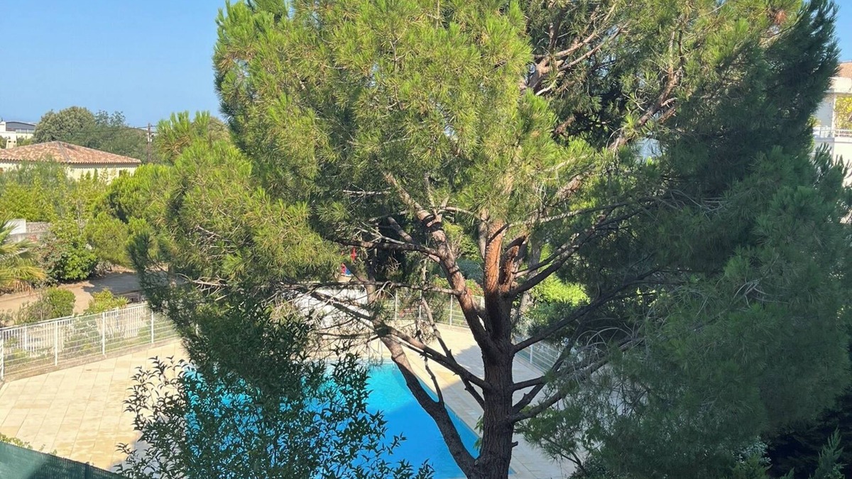 Sormiou Apartment | Vrbo Property