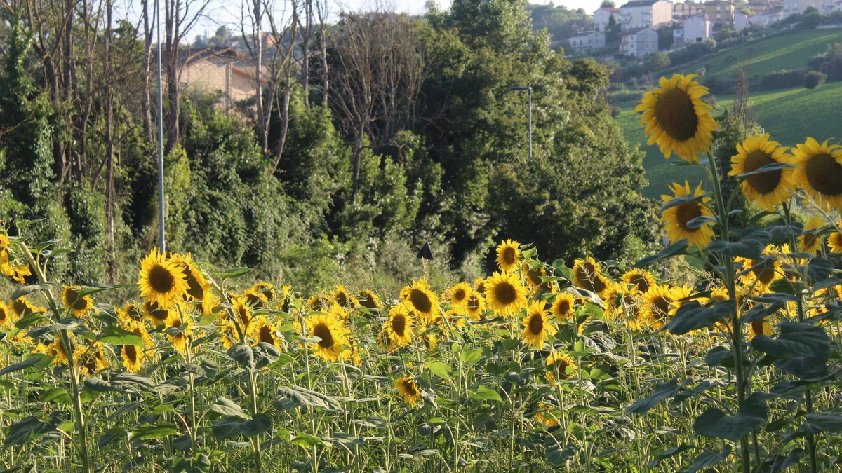 Montegiorgio Apartment | Vrbo Property