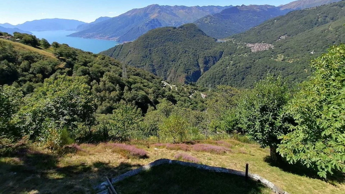 Vercana Cabin | Vrbo Property