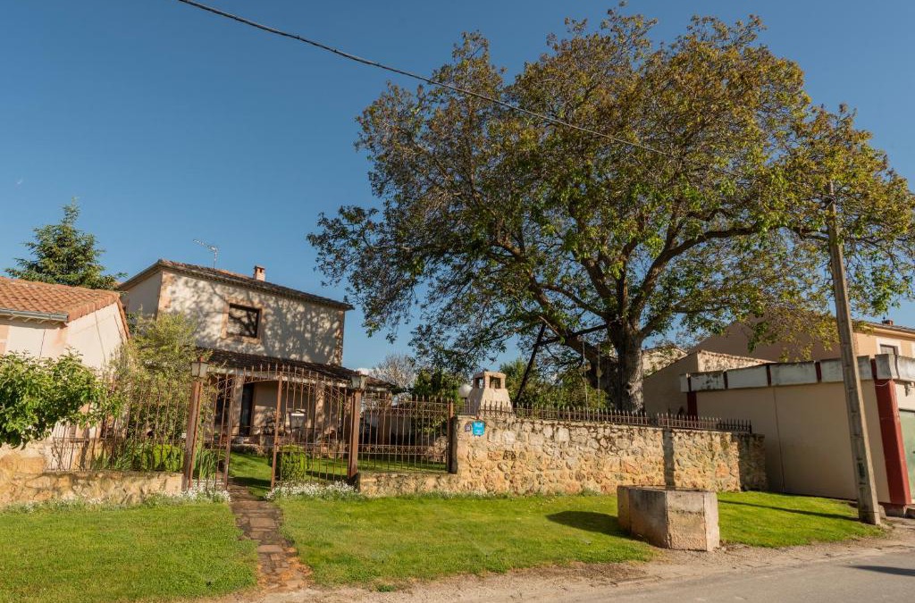 San Pedro de Gaillos House | VuT El Pozo la Carrera
