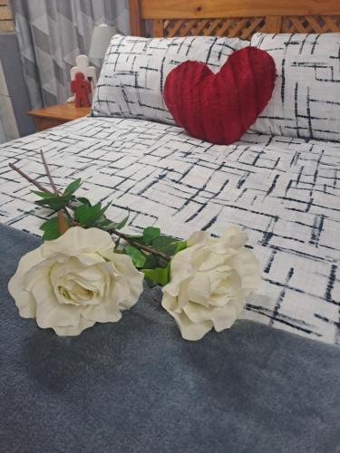 Klerksdorp House | Vuurpyl Accommodation