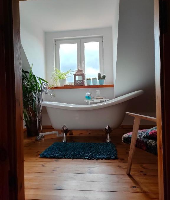 Pieczarki House | W starej szkole - agroturystyka