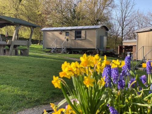Holzminden Apartment | Wagenburg-Solling