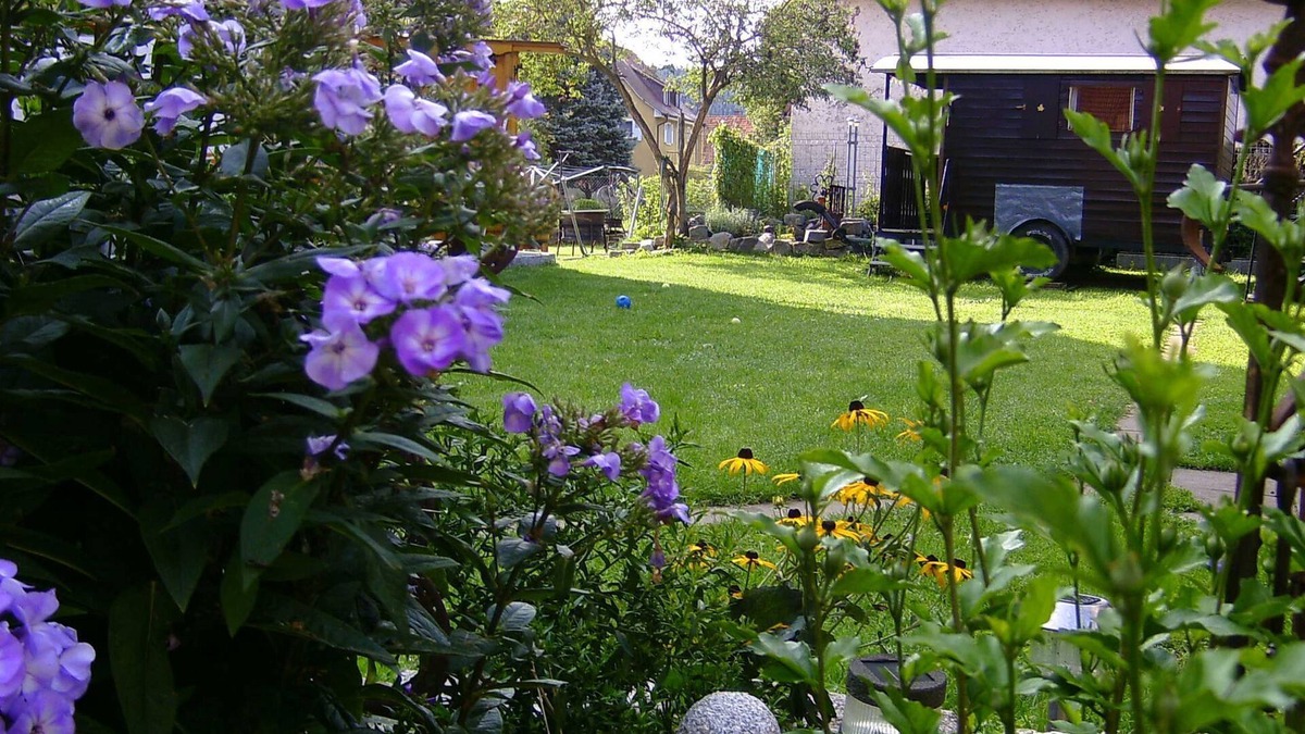 Geisingen House | Wagon park to the Danube - wooden wagon no. 1 (8 m²)