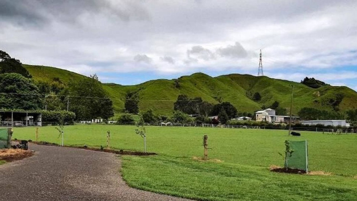 Tararua Forest Park Cottage | Waiora cottage