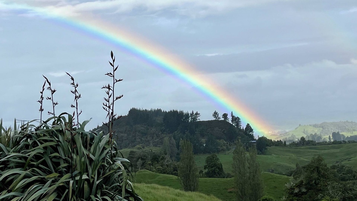 Waitomo Caves House | Waitomo Caves fully self-contained house minutes from Waitomo Glowworm Caves.